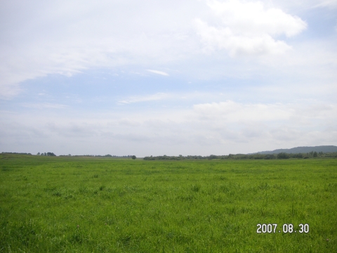 s_PICT0564.jpg